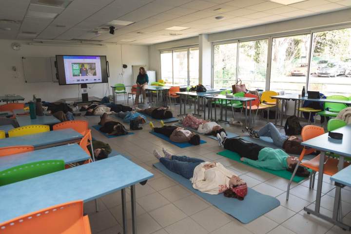 Parcours et formation initiale