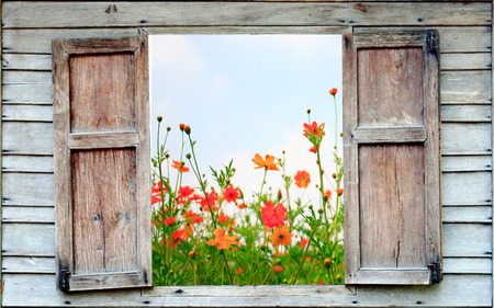 Journée Portes ouvertes